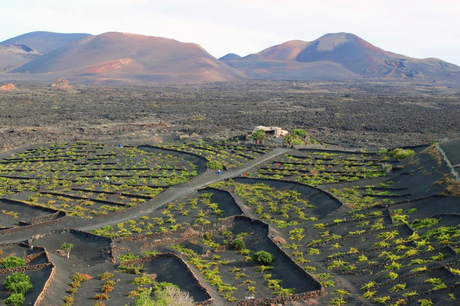 Casa Rural Vega De Timanfaya Uga Exterior photo